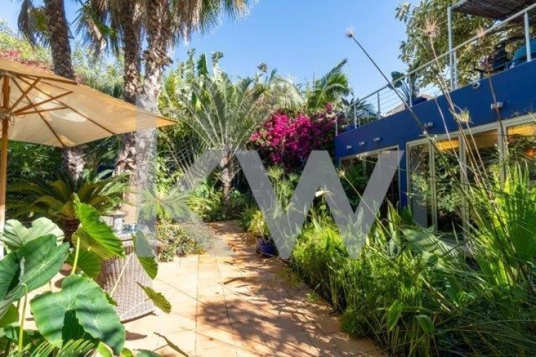 Quinta T14 para Venda em Mexilhoeira Grande Foto 47