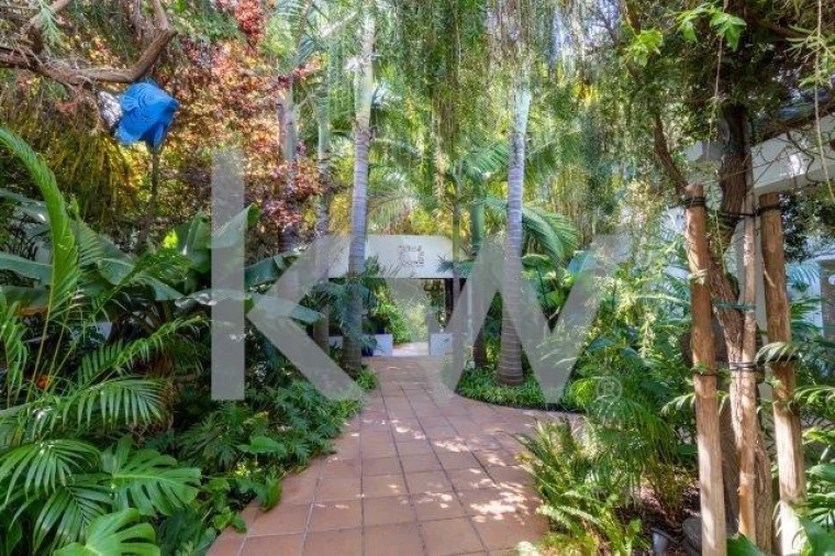 Quinta T14 para Venda em Mexilhoeira Grande Foto 46