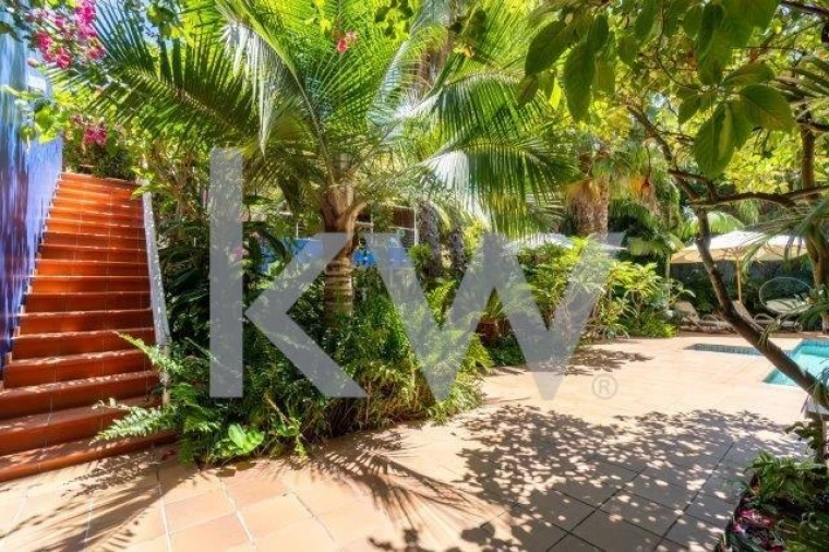 Quinta T14 para Venda em Mexilhoeira Grande Foto 49