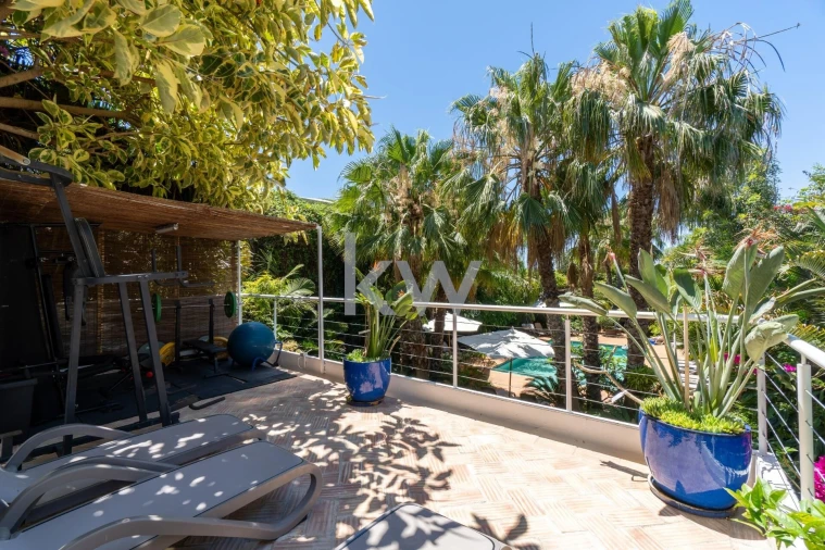 Quinta T14 para Venda em Mexilhoeira Grande Foto 15