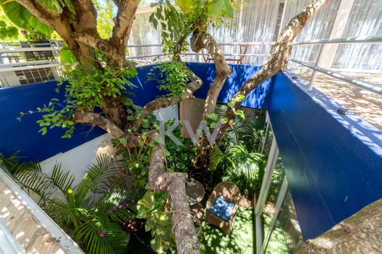 Quinta T14 para Venda em Mexilhoeira Grande Foto 17