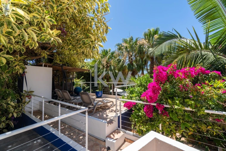 Quinta T14 para Venda em Mexilhoeira Grande Foto 14