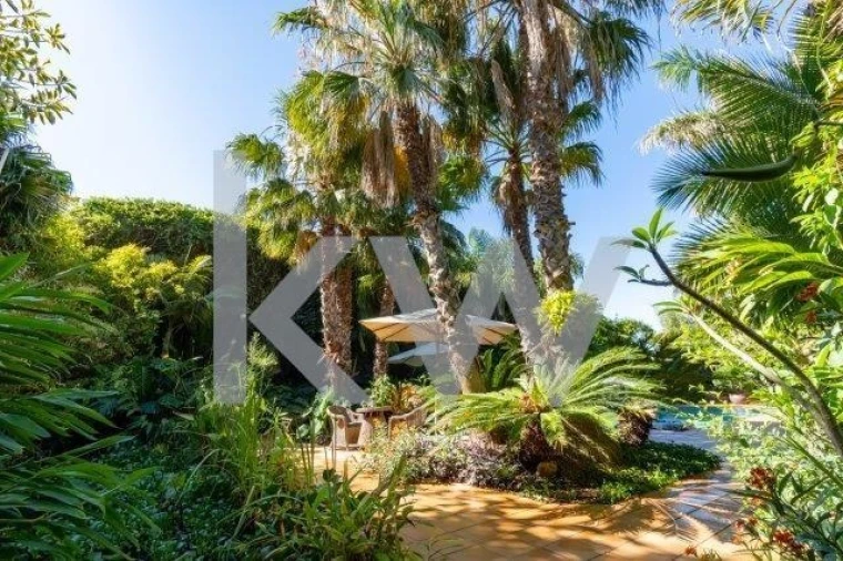 Quinta T14 para Venda em Mexilhoeira Grande Foto 48