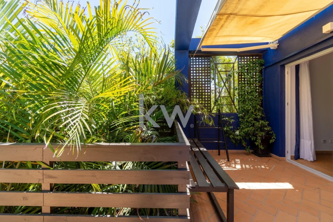 Quinta T14 para Venda em Mexilhoeira Grande Foto 25