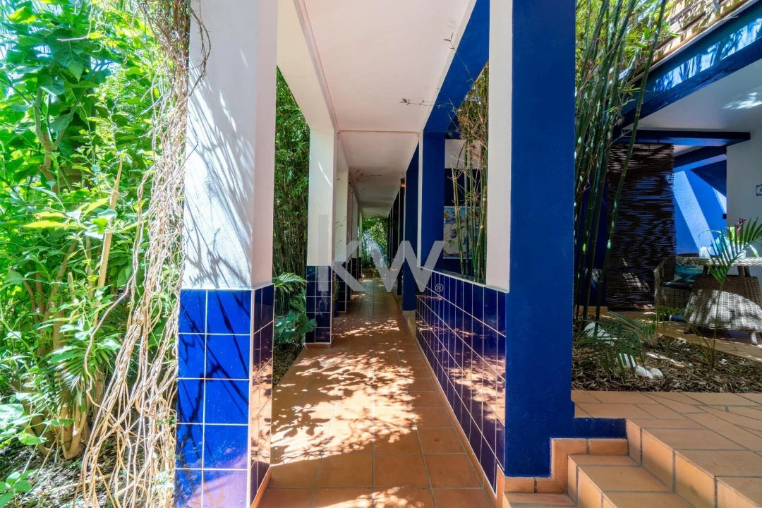 Quinta T14 para Venda em Mexilhoeira Grande Foto 31