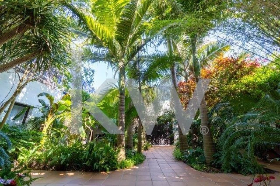 Quinta T14 para Venda em Mexilhoeira Grande Foto 45