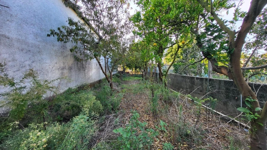 Moradia T3 para Venda em Esgueira Foto 43