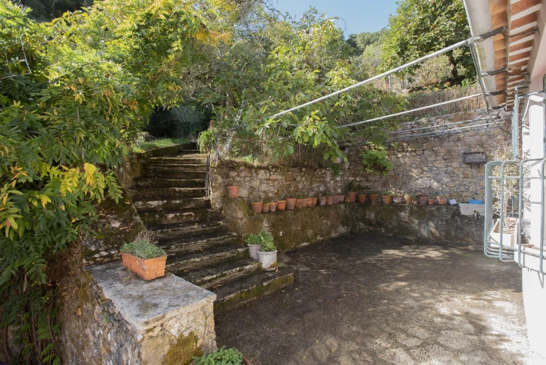 Quinta T8 para Venda em Colares Foto 4