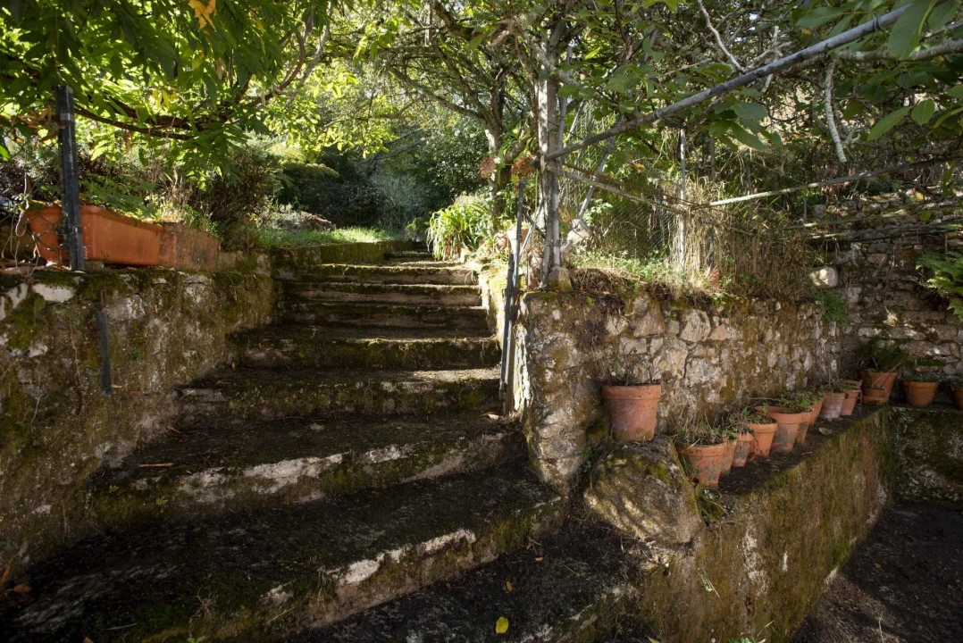 Quinta T8 para Venda em Colares Foto 5