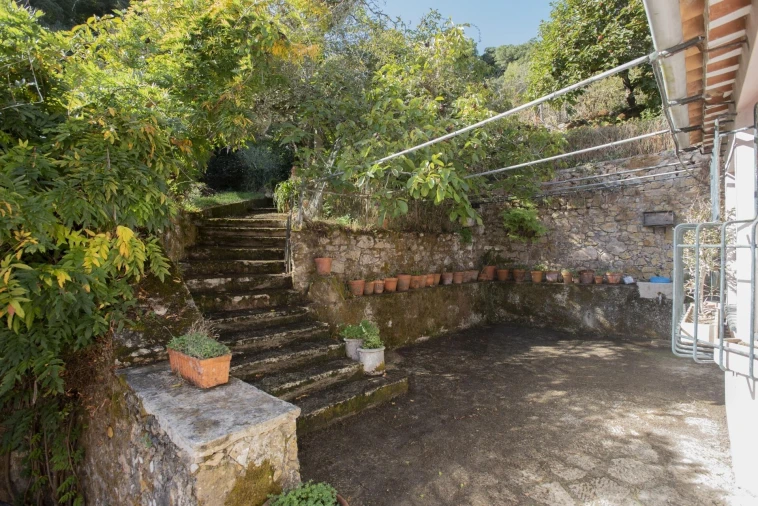 Quinta T8 para Venda em Colares Foto 4