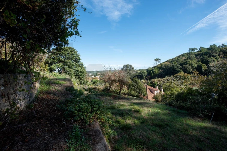 Quinta T8 para Venda em Colares Foto 7