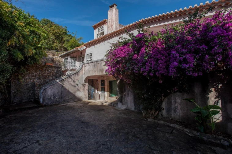 Quinta T8 para Venda em Colares Foto 2