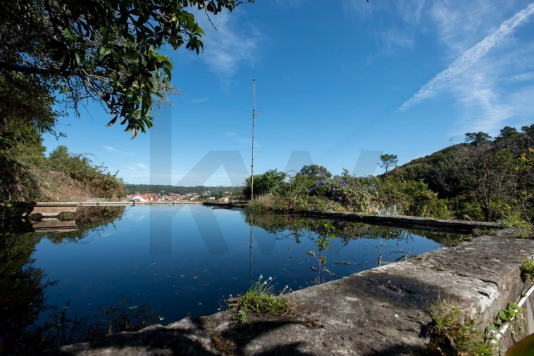 Quinta T8 para Venda em Colares Foto 9