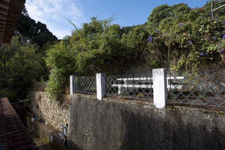 Quinta T8 para Venda em Colares Foto 6