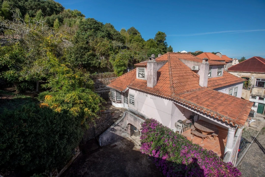 Quinta T8 para Venda em Colares Foto 3