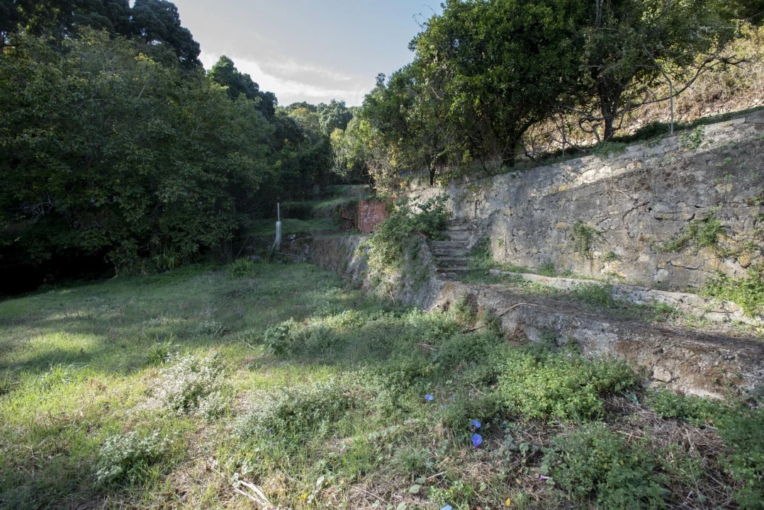 Quinta T8 para Venda em Colares Foto 8