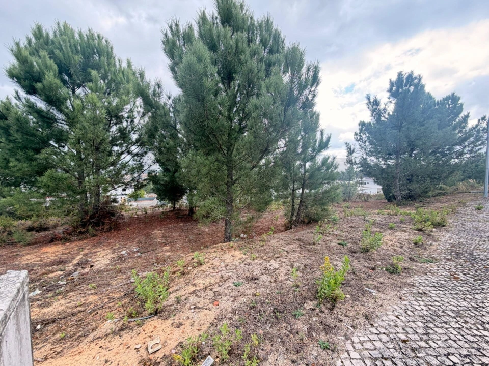 Terreno para Venda em Rio Maior Foto 1