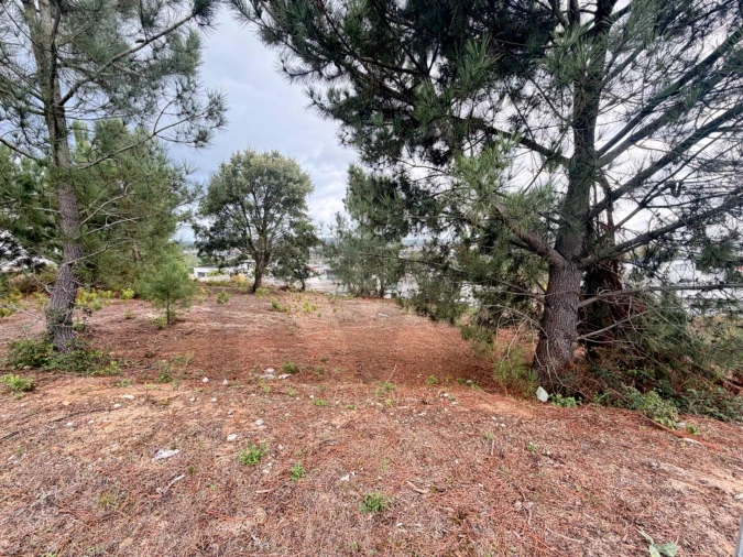 Terreno para Venda em Rio Maior Foto 4