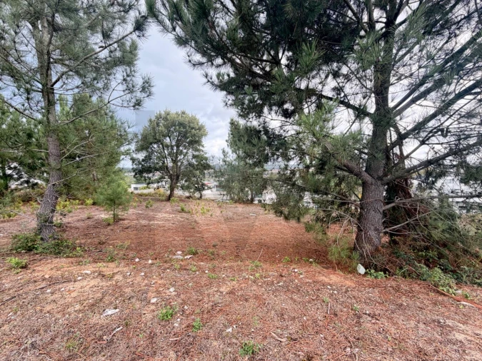 Terreno para Venda em Rio Maior Foto 3