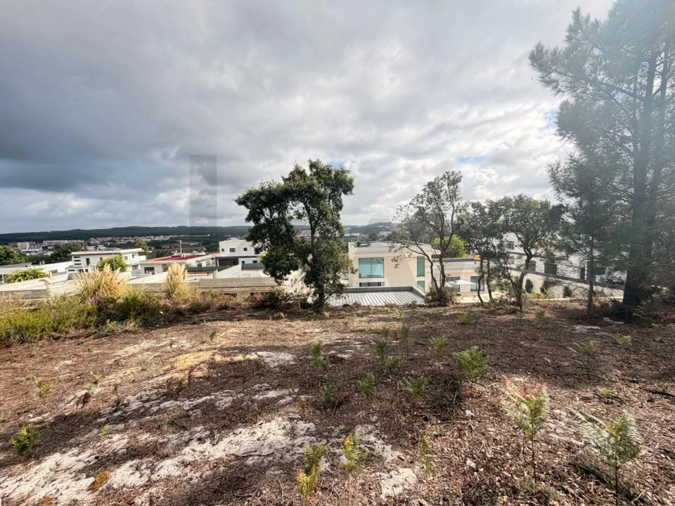 Terreno para Venda em Rio Maior Foto 7