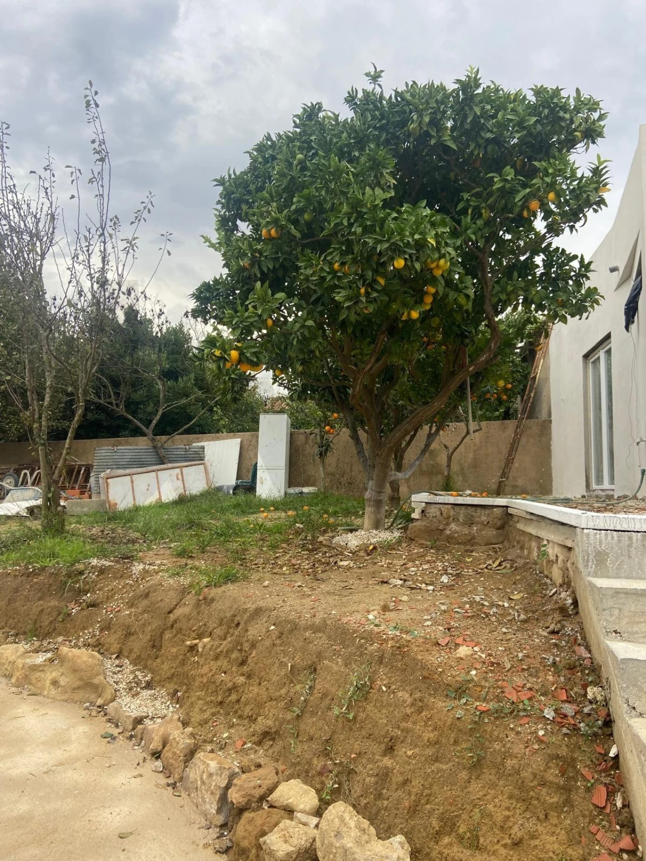 Moradia T2 para Venda em Ventosa Foto 38