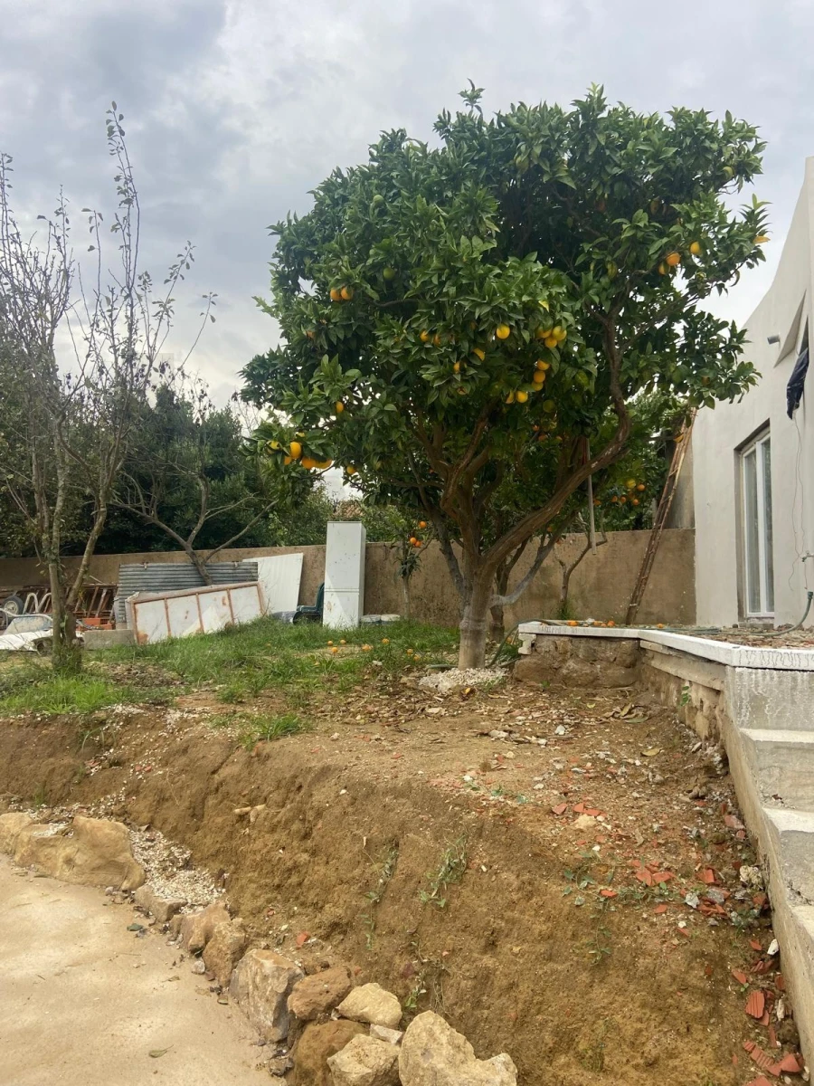 Moradia T2 para Venda em Ventosa Foto 36