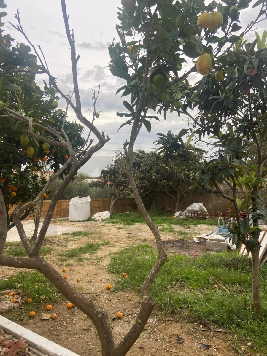 Moradia T2 para Venda em Ventosa Foto 34