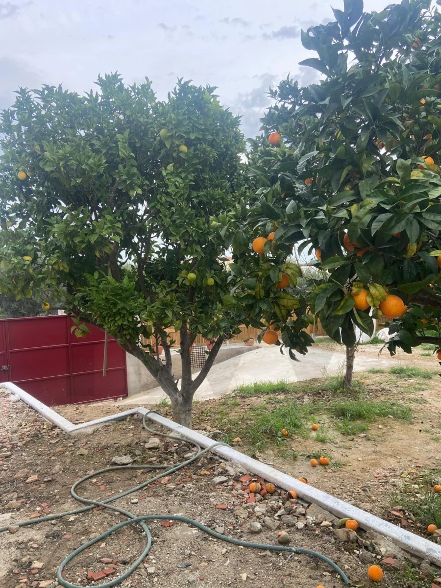 Moradia T2 para Venda em Ventosa Foto 33