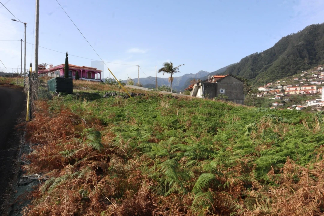 Terreno para Venda em São Roque do Faial Foto 5