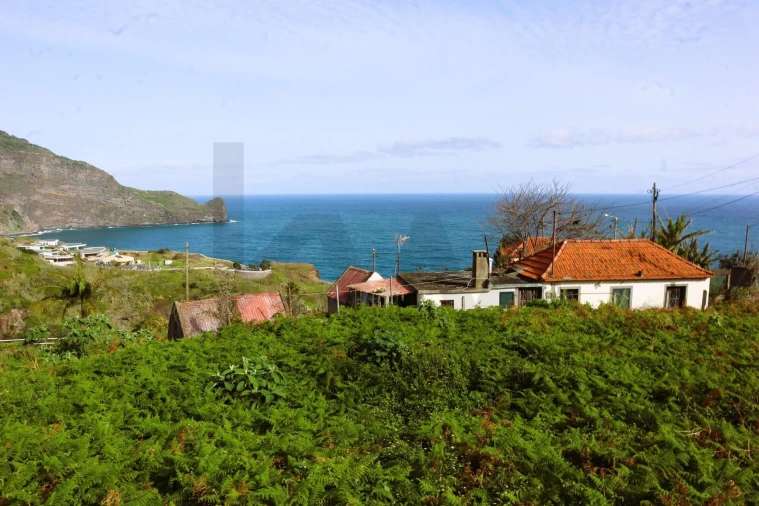 Terreno para Venda em São Roque do Faial Foto 1