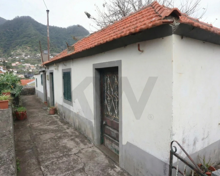 Terreno para Venda em São Roque do Faial Foto 2