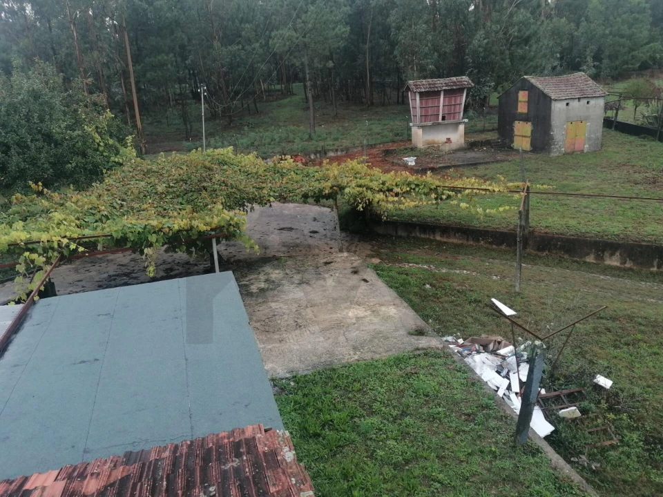 Moradia T3 para Arrendamento em Macieira de Sarnes Foto 36