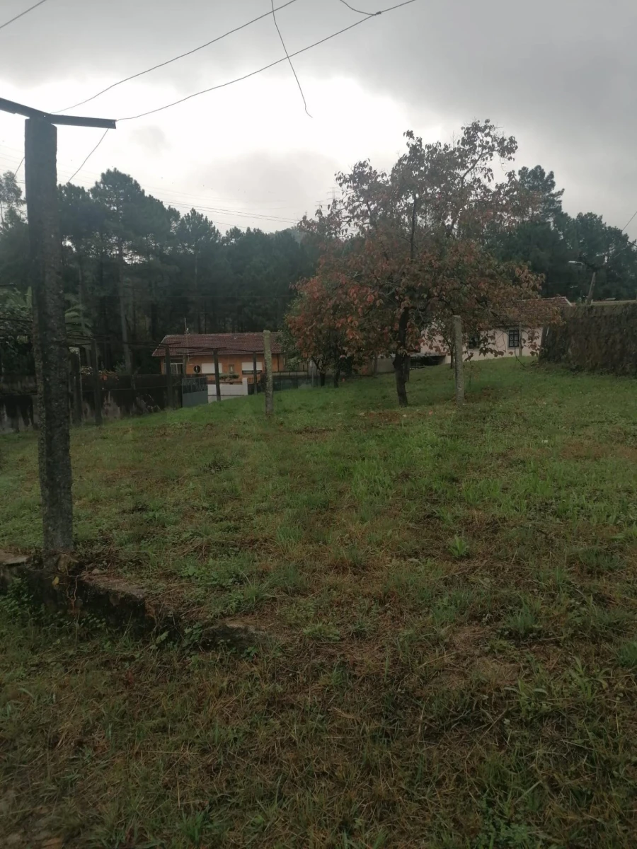 Moradia T3 para Arrendamento em Macieira de Sarnes Foto 29