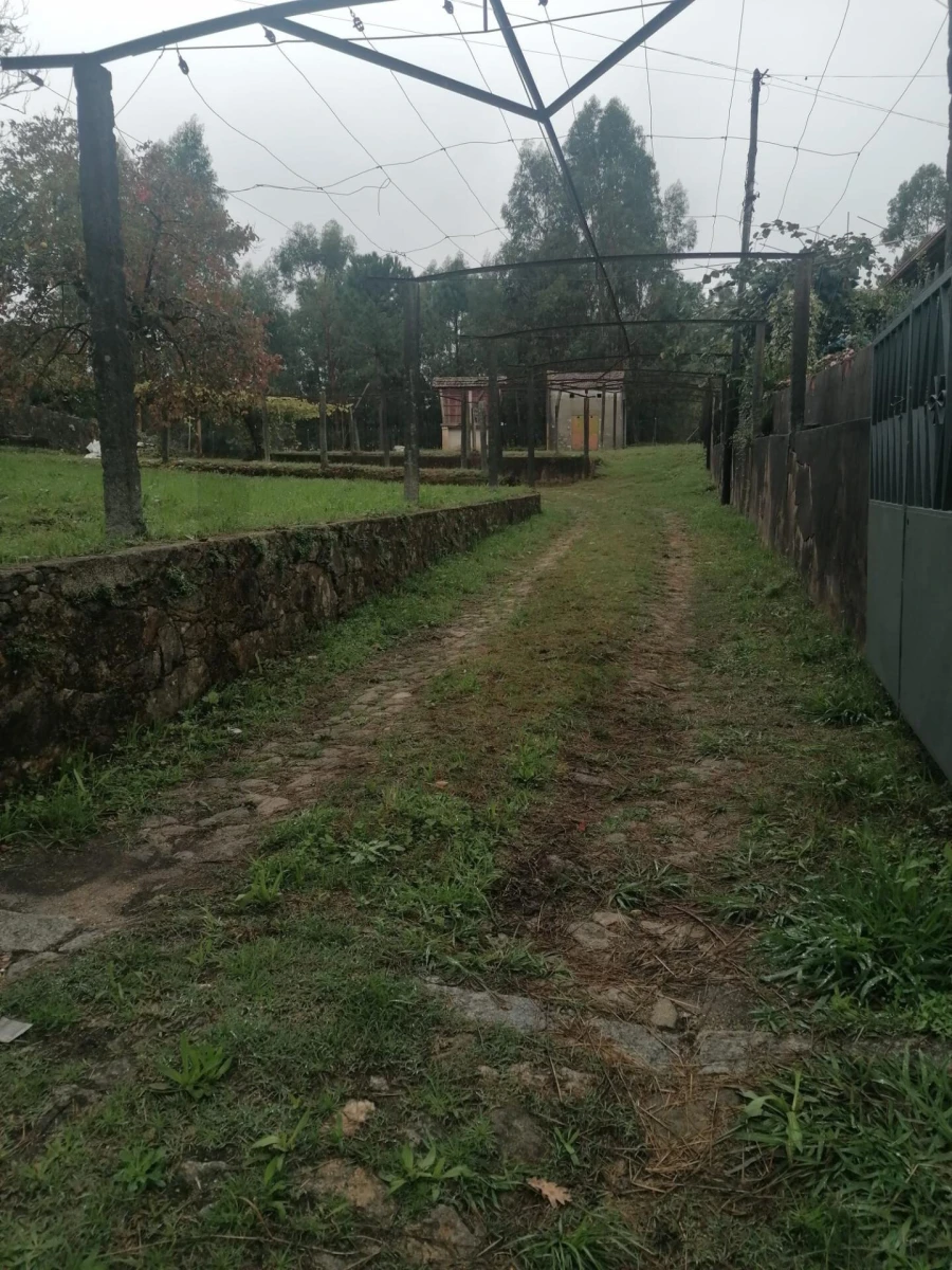 Moradia T3 para Arrendamento em Macieira de Sarnes Foto 30