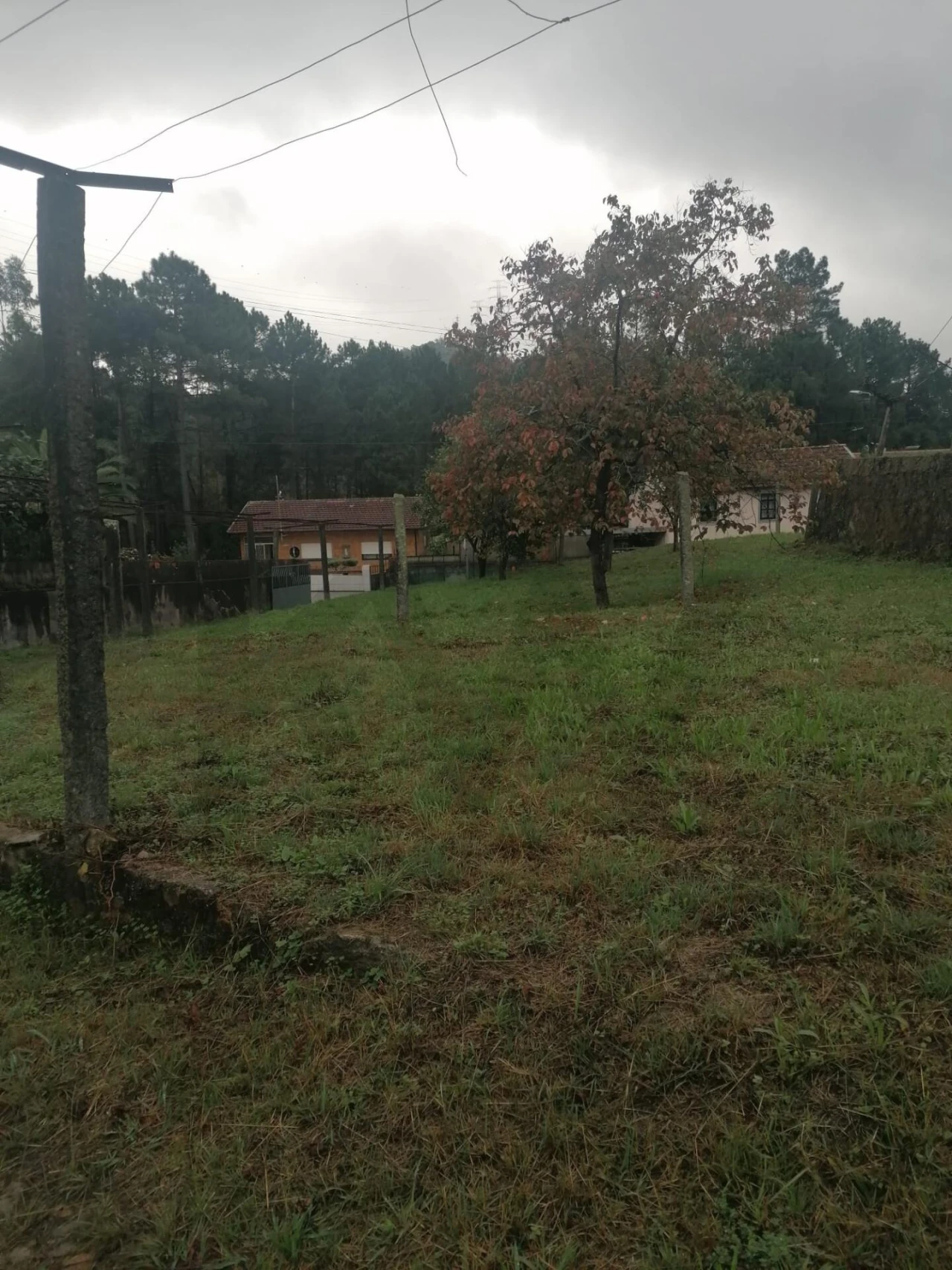 Moradia T3 para Arrendamento em Macieira de Sarnes Foto 29