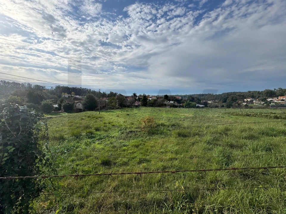 Terreno para Venda em São Miguel do Souto e Mosteirô Foto 1