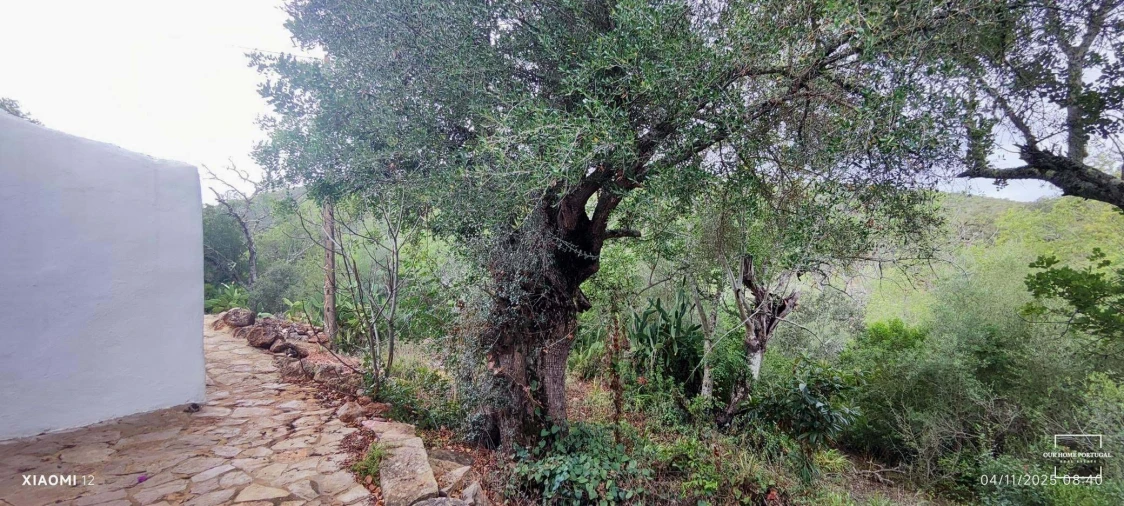 Moradia T2 para Venda em Loule (São Clemente) Foto 9