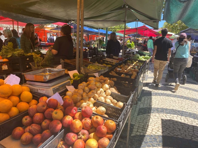 Moradia T3 para Venda em Nadadouro Foto 23