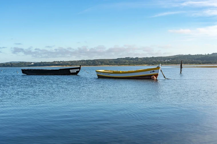 Moradia T3 para Venda em Nadadouro Foto 18