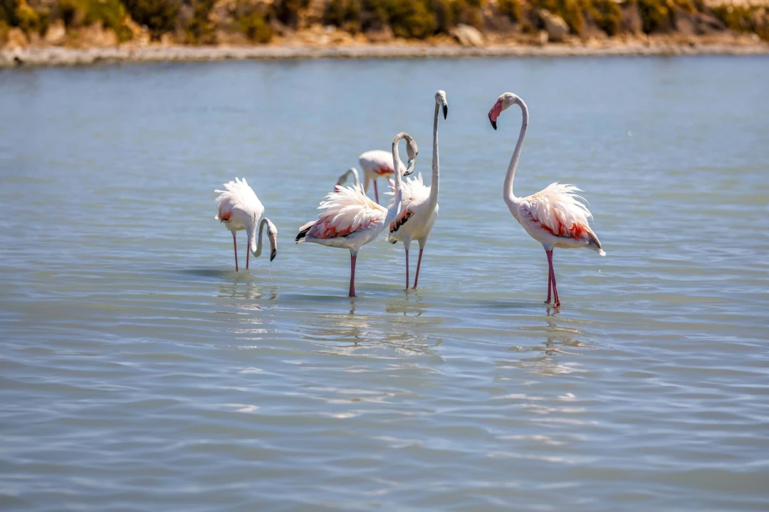 Moradia T3 para Venda em Nadadouro Foto 19