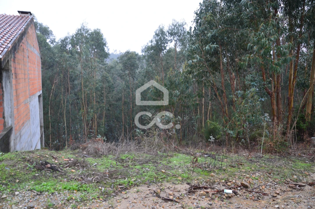 Terreno para Venda em Lagares e Figueira Foto 4