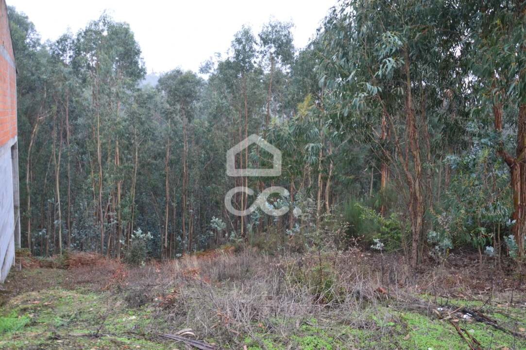 Terreno para Venda em Lagares e Figueira Foto 3