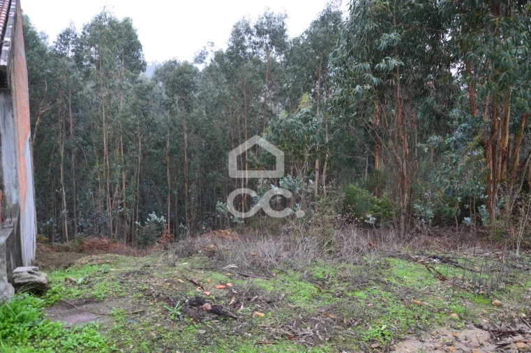 Terreno para Venda em Lagares e Figueira