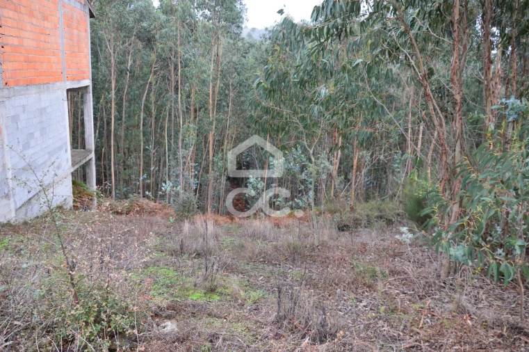 Terreno para Venda em Lagares e Figueira Foto 2