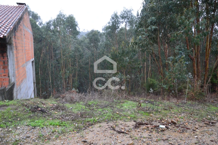 Terreno para Venda em Lagares e Figueira Foto 5