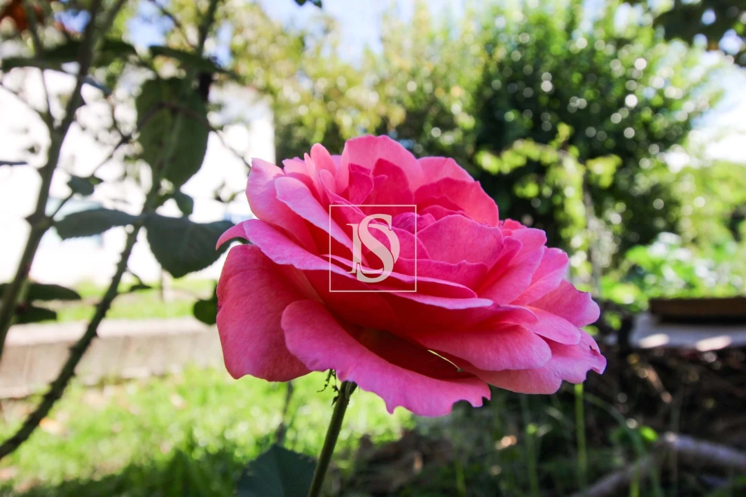 Moradia T4 para Venda em Pousada de Saramagos Foto 56