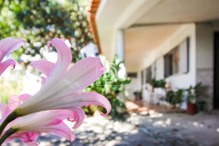 Moradia T4 para Venda em Pousada de Saramagos Foto 11