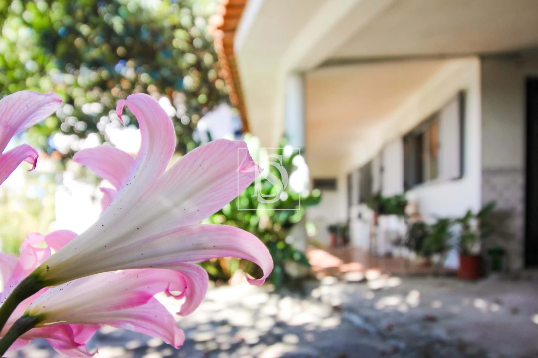 Moradia T4 para Venda em Pousada de Saramagos Foto 10