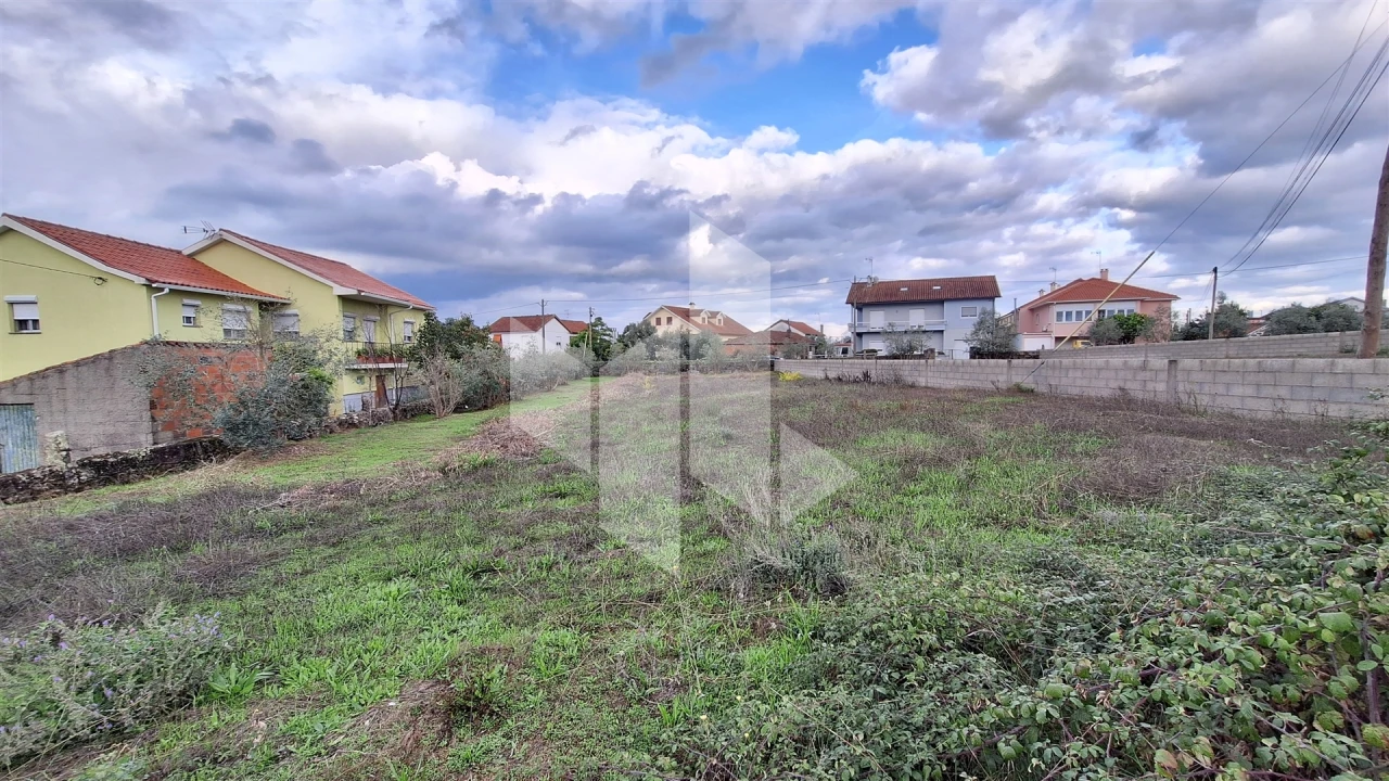 Terreno para Venda em Molelos Foto 2