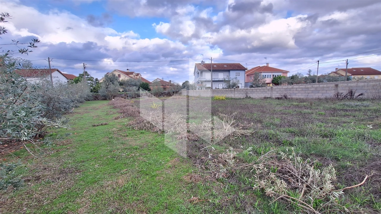 Terreno para Venda em Molelos Foto 1